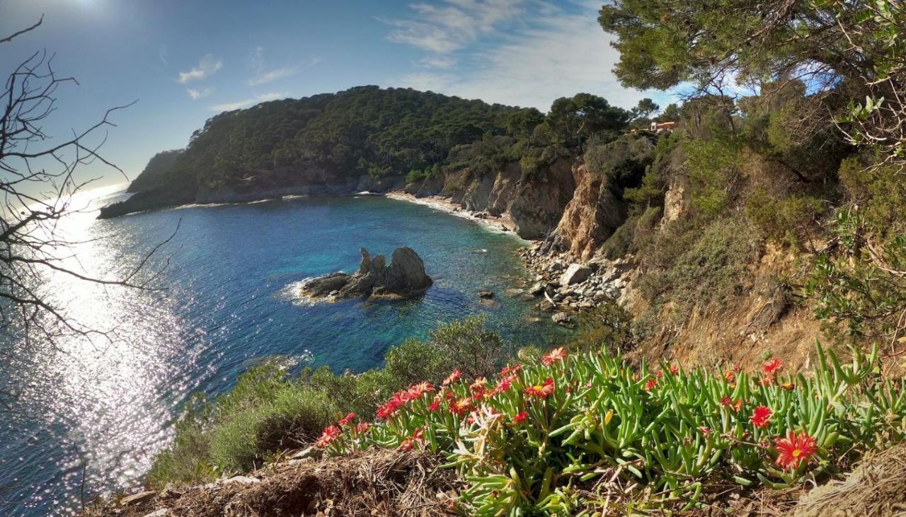 Studio Proche Port Et Plages, Piscine Hyères Dış mekan fotoğraf